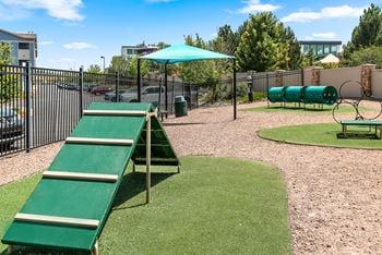 Dog agility park